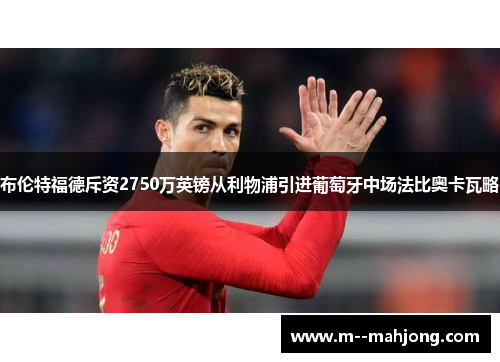 布伦特福德斥资2750万英镑从利物浦引进葡萄牙中场法比奥卡瓦略