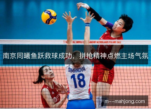 南京同曦鱼跃救球成功，拼抢精神点燃主场气氛