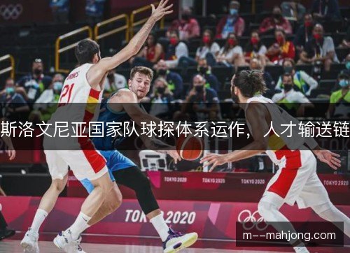 斯洛文尼亚国家队球探体系运作，人才输送链